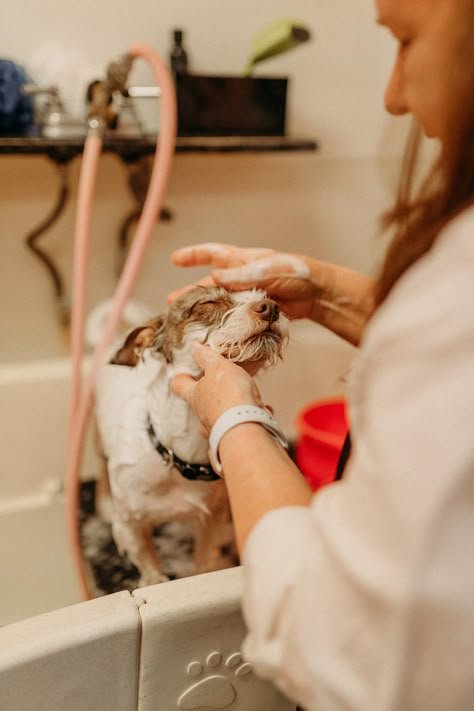 Grooming & Spa Essentials